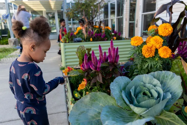 Child in rainbow shirt and pants, looking at garden with vegetables and flowers